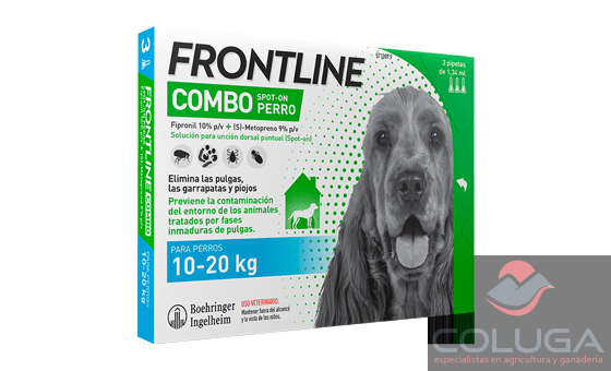 frontline combo perros